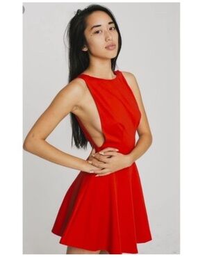 American Apparel Red Skater Mini Dress